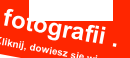 shapeimage_2_link_2